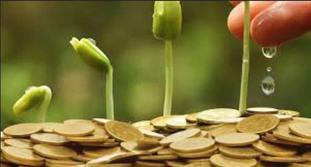 Promoting Entrepreneurship in Agribusiness Course